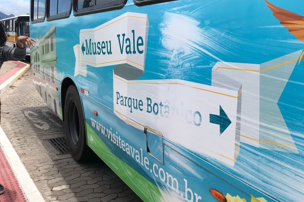 Facilitação para educadores da rede pública municipal de Vitória - ES sobre ludicidade e desenvolvimento infantil em parceria com a Fundação Vale (2)